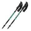Trekové hole Fizan Compact 4 Water Green