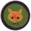 Liška