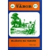 Mláďata na táboře - Tábor 31