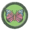 Babočka