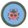 Beruška