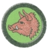 Divočák
