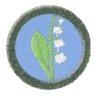 Konvalinka