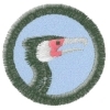 Kormorán