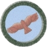 Krahujec 1