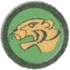 Tygr