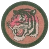 Tygr 2
