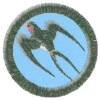 Vlaštovka