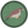 Vrabec