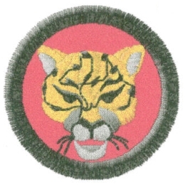 Tygr 1