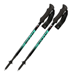 Trekové hole Fizan Compact 4 Water Green