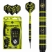 Šipky Winmau Ambition MvG Design - 2